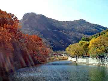 天天彩好彩天天免费，壳牌机油型号